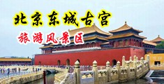 操屄c0m中国北京-东城古宫旅游风景区